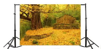 Фон для фотосъемки Осенний Потертый Шикарный Разрушенный кирпичный дом Деревья Золотые листья Природа Ric